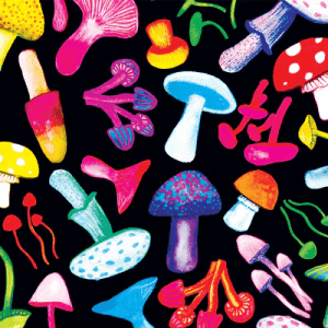 fabric features a vibrant mushroom pattern with various brightly colored mushrooms in red, yellow, blue, pink, and green on a black background. This playful design adds a whimsical and organic feel to the outfit. Designed by Australian designer brand Streborclothing.