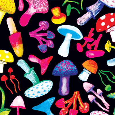 fabric features a vibrant mushroom pattern with various brightly colored mushrooms in red, yellow, blue, pink, and green on a black background. This playful design adds a whimsical and organic feel to the outfit. Designed by Australian designer brand Streborclothing.