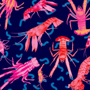 a textile print depicting pink and red crustaceans, including lobsters and shrimp, on a deep blue background, with wavy line details that give a playful, underwater feel. Designed by Australian designer brand Streborclothing.