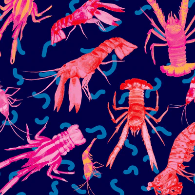 a textile print depicting pink and red crustaceans, including lobsters and shrimp, on a deep blue background, with wavy line details that give a playful, underwater feel. Designed by Australian designer brand Streborclothing.