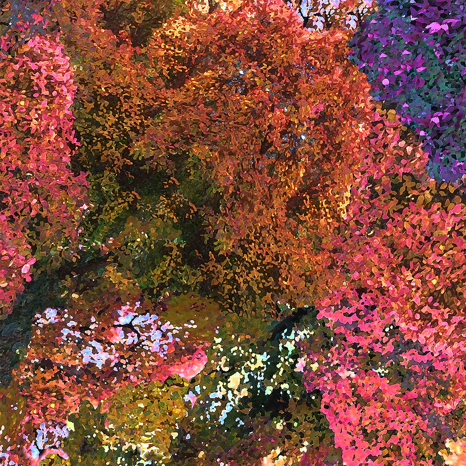 Ava Dress - Image 11